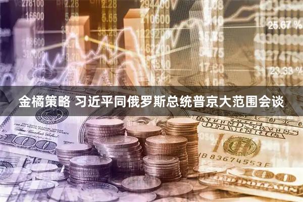 金橘策略 习近平同俄罗斯总统普京大范围会谈